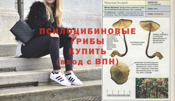 прущие крисы Алексин