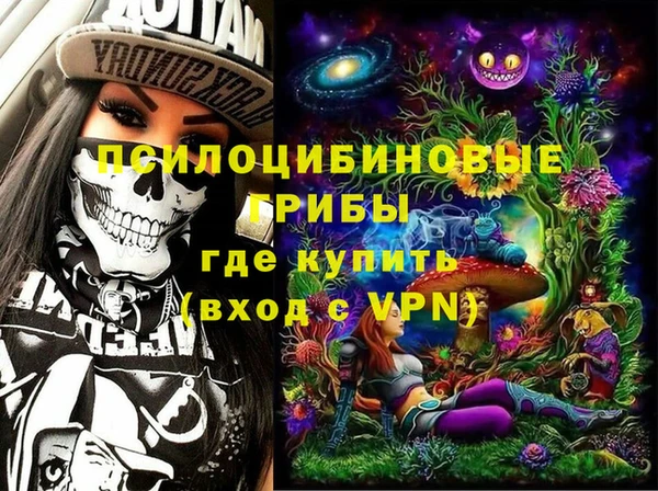 крисы Дубовка