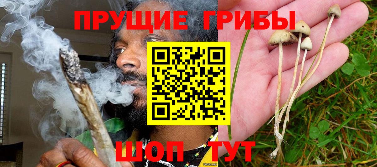 Дмитров  Галлюциногенные грибы ЛСД  Галлюциногенные грибы Psilocybine cubensis  Вход с VPN 