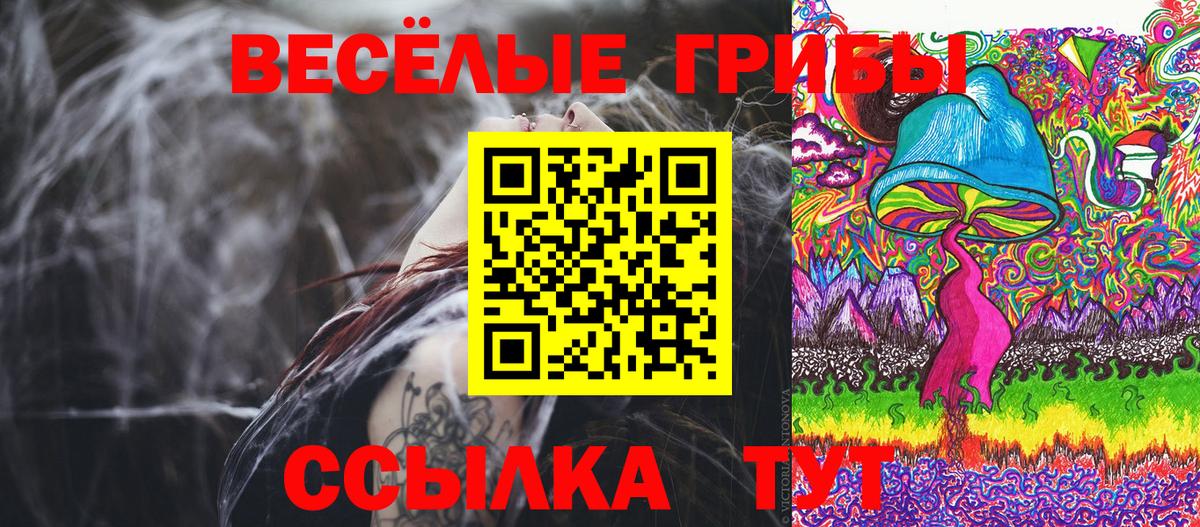 Псилоцибиновые грибы Psilocybe Дмитров