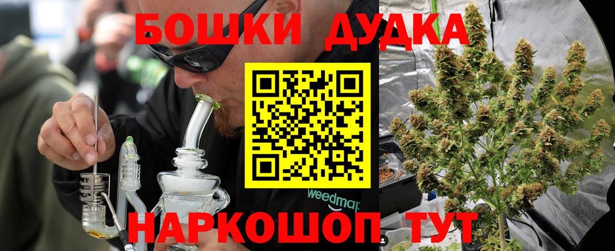 Бошки Шишки планчик Дмитров